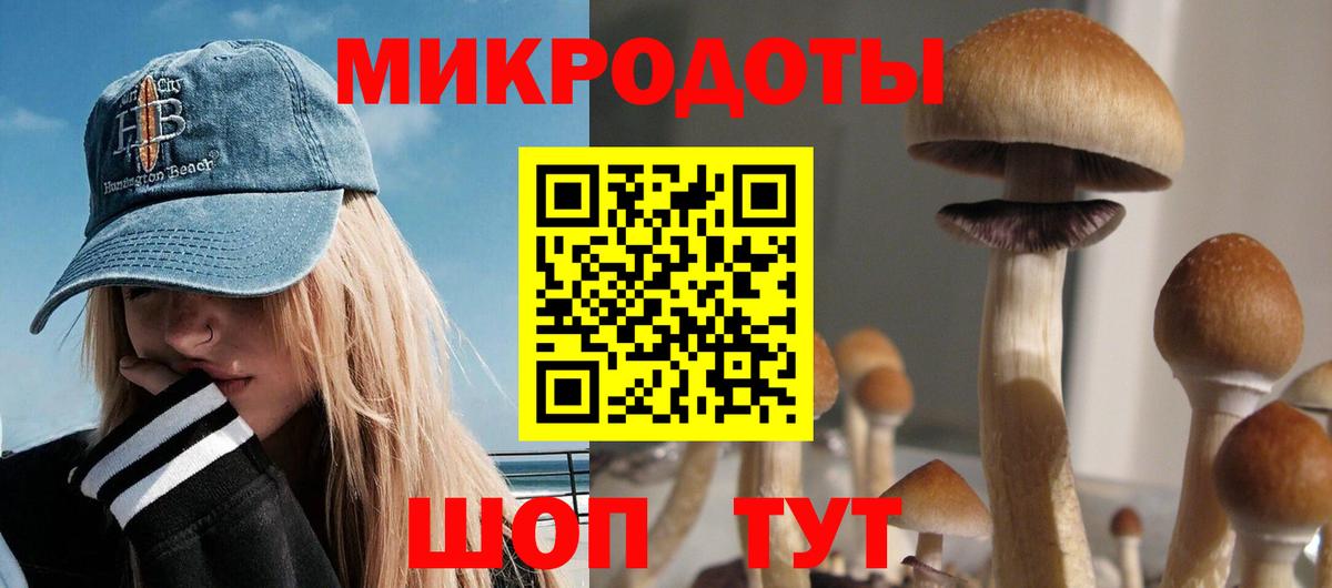 Моршанск  Галлюциногенные грибы Magic Shrooms  Вход с VPN 