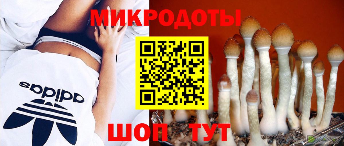 Псилоцибиновые грибы мухоморы Моршанск